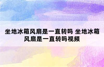 坐地冰箱风扇是一直转吗 坐地冰箱风扇是一直转吗视频